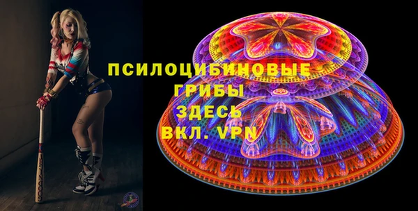 прущая мука Арсеньев