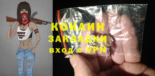 тгк Гусев