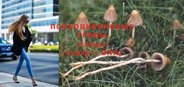 MESCALINE Баксан